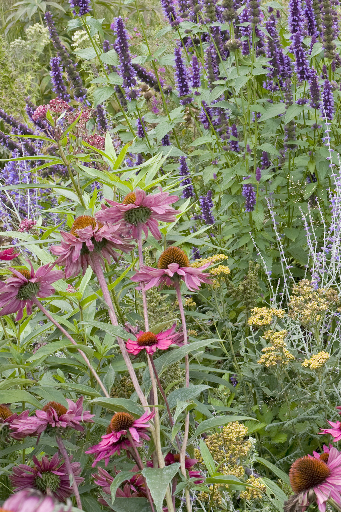 Workshop Planten combineren