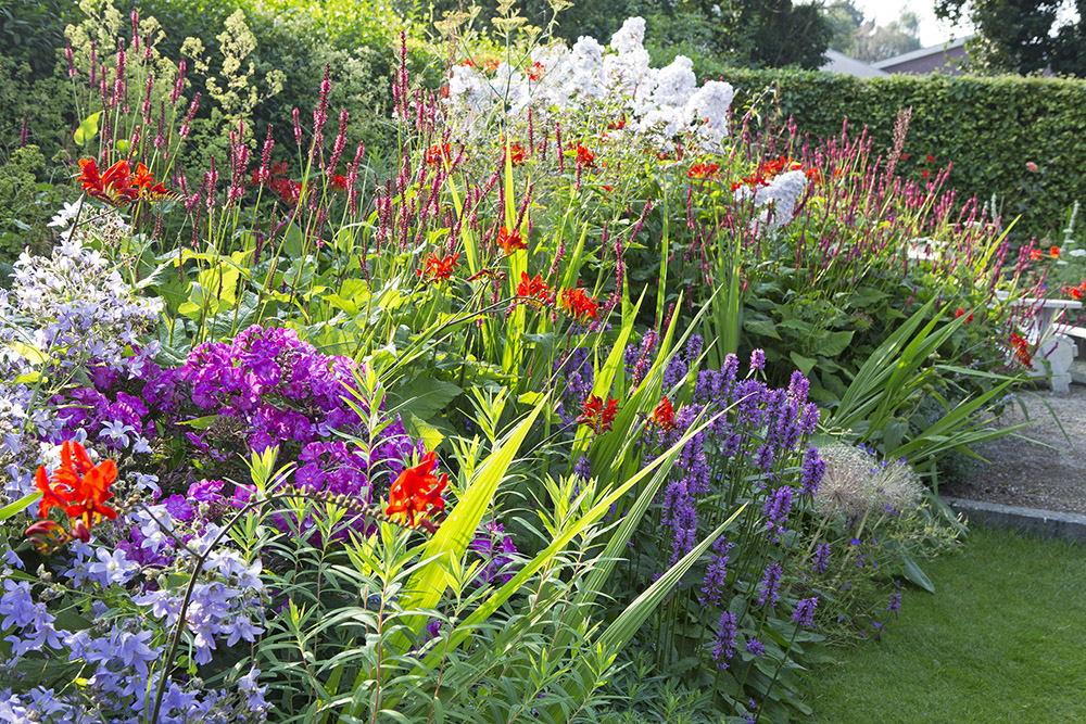 Tuinworkshop Seizoenenborder