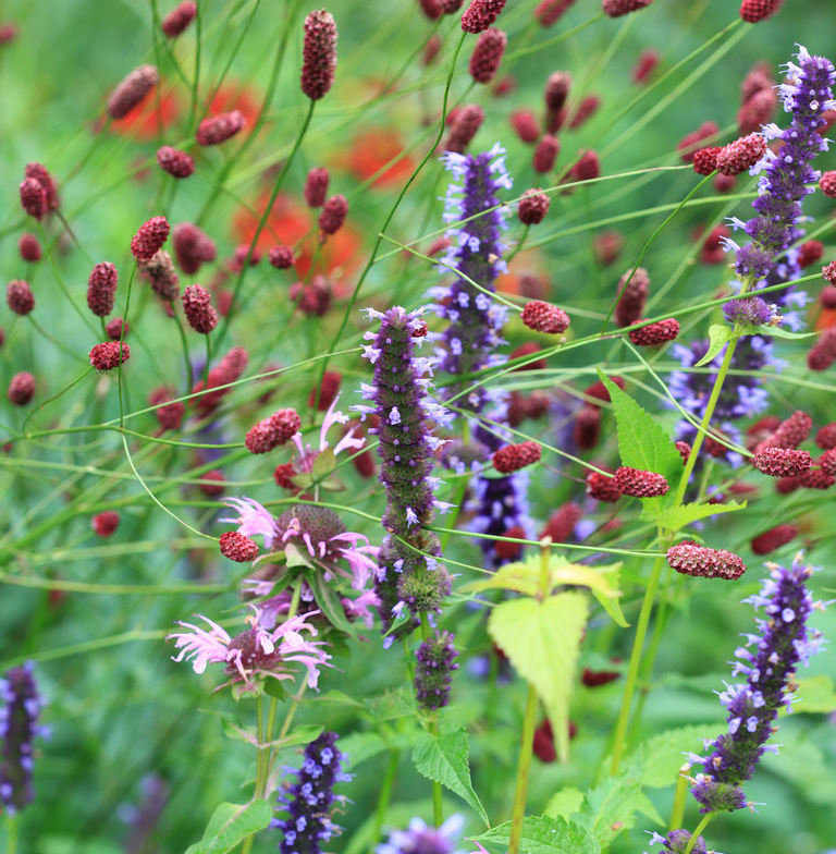 Workshop planten combineren