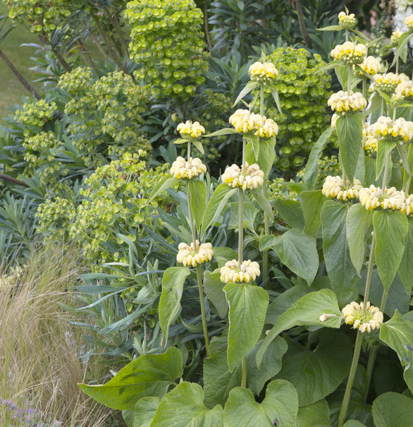 Workshop planten combineren