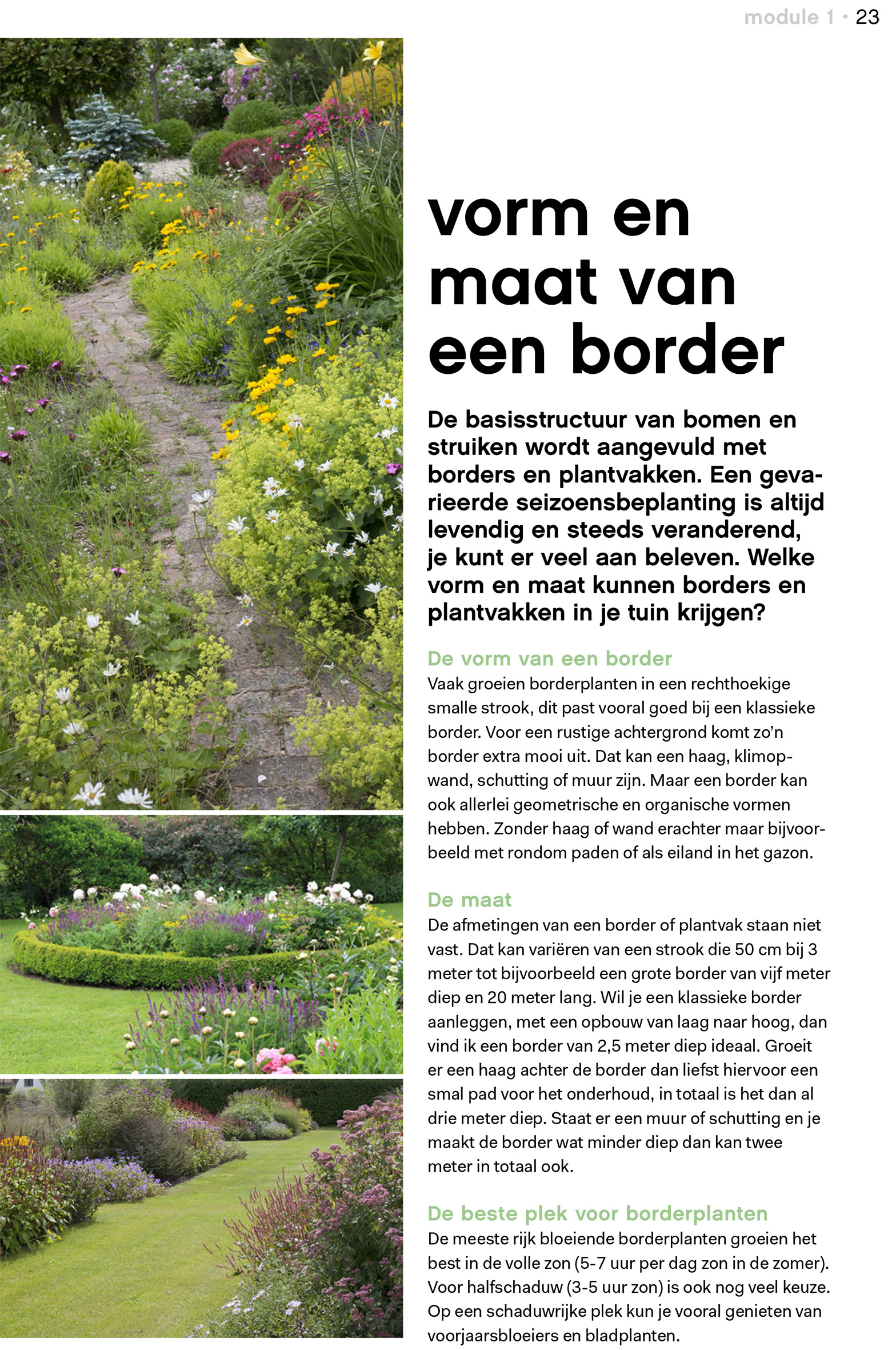 Digitale cursus ‘Tuincursus Beplanting’ van Modeste Herwig